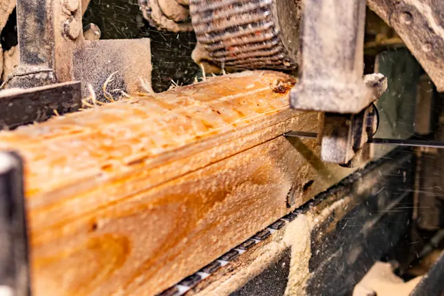 Sägeblätter für die Holzbearbeitung